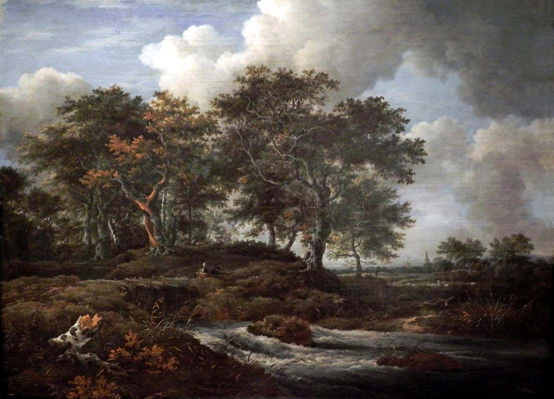 Oaks on a Giessbach